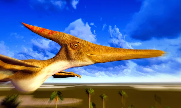 Flying pterodactyl — Stock Photo, Image