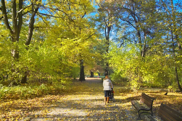 Sunny path in park — Stock Photo, Image