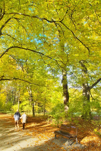 Solig väg i park — Stockfoto