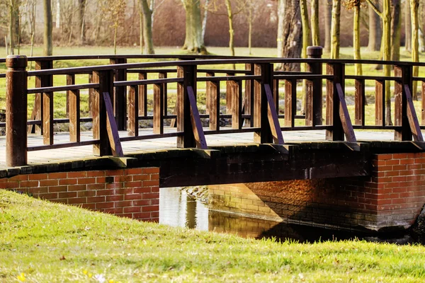 Pont dans le parc — Photo