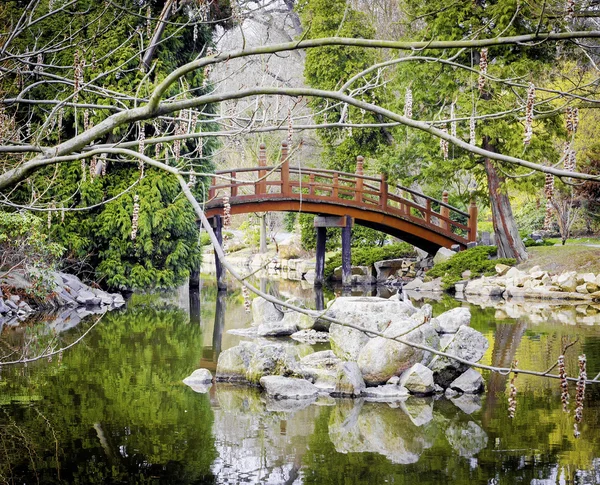 Puente en el parque — Foto de Stock