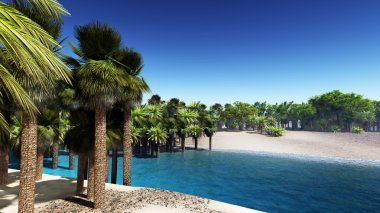 Çölde yemyeşil oasis manzara