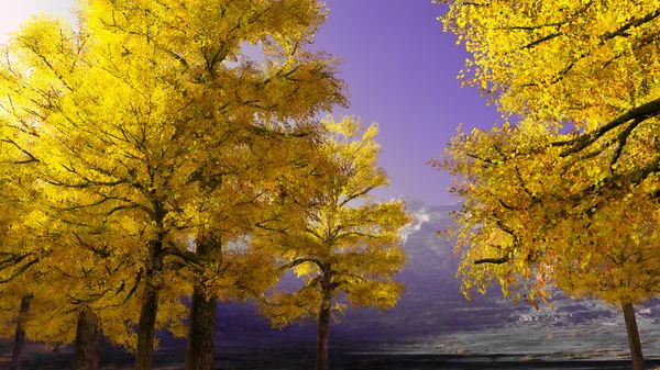 Colores de otoño en montañas — Foto de Stock