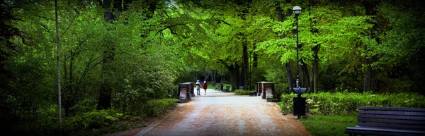 Park im Frühling — Stockfoto