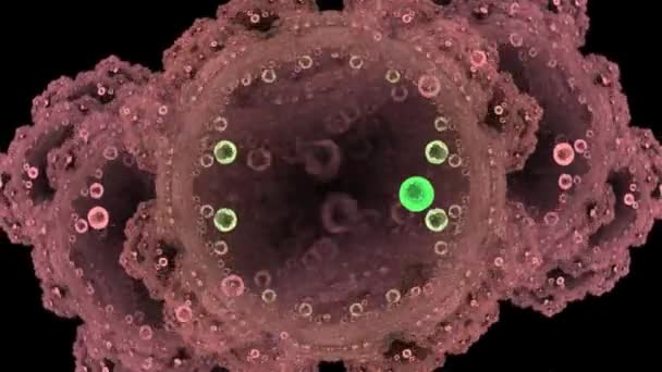 Βακτήρια κάτω από μικροσκόπιο — Αρχείο Βίντεο