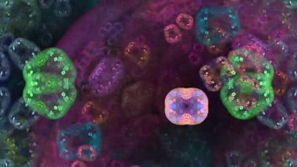 对称生长的细菌 — 图库视频影像