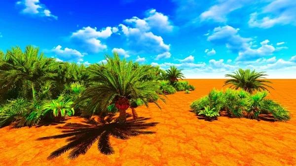 African oasis — Stock Photo, Image