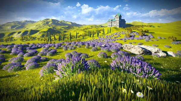 Campi di lavanda — Foto Stock