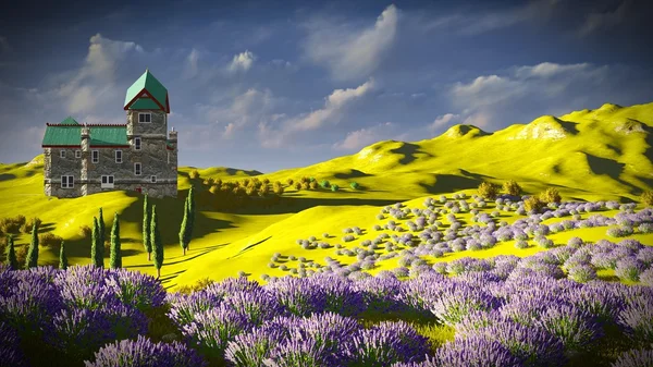 Campos de lavanda — Fotografia de Stock