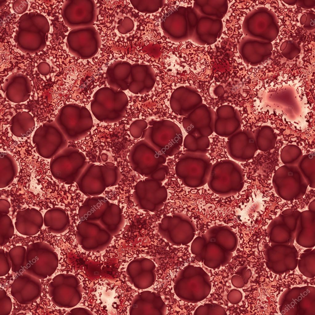 Elementi di morfologia e funzione della cellula, image size:1024x1024