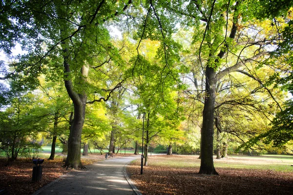 Park v jarním období — Stock fotografie