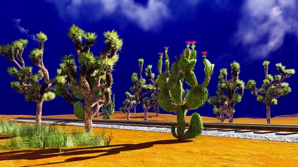 Joshua trees on desert — Stock Photo, Image