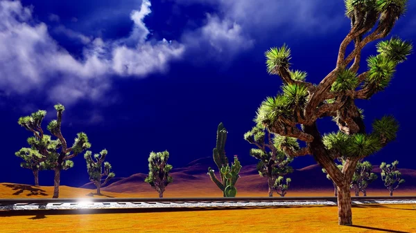砂漠にジョシュア ツリー — ストック写真