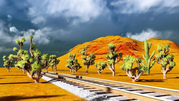 Joshua trees on desert — Stock Photo, Image