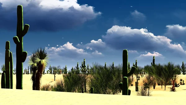 Deserto americano — Fotografia de Stock