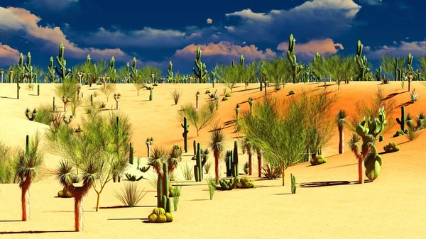 Amerikaanse woestijn — Stockfoto