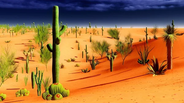 Amerikai sivatagban — Stock Fotó