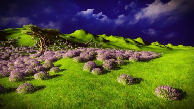 Lavender fields clipart