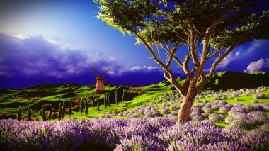 Lavender fields clipart