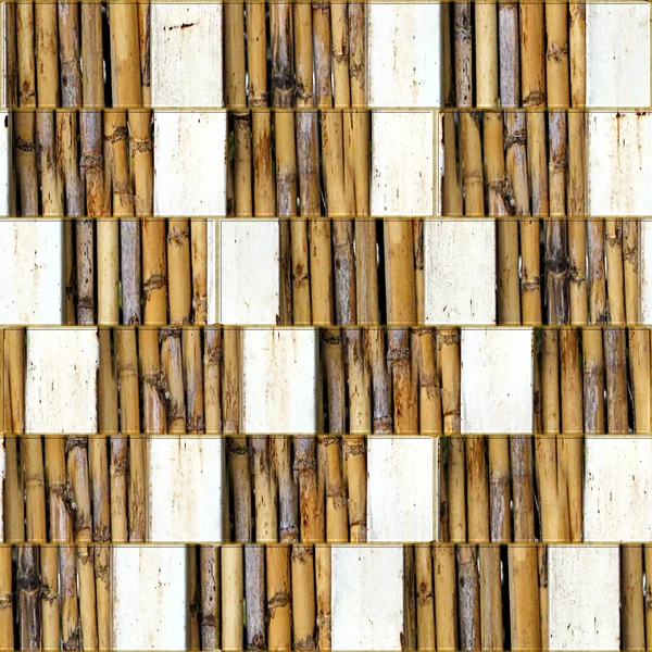 Bamboo wall — Stockfoto