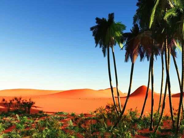 African oasis — Stock Photo, Image