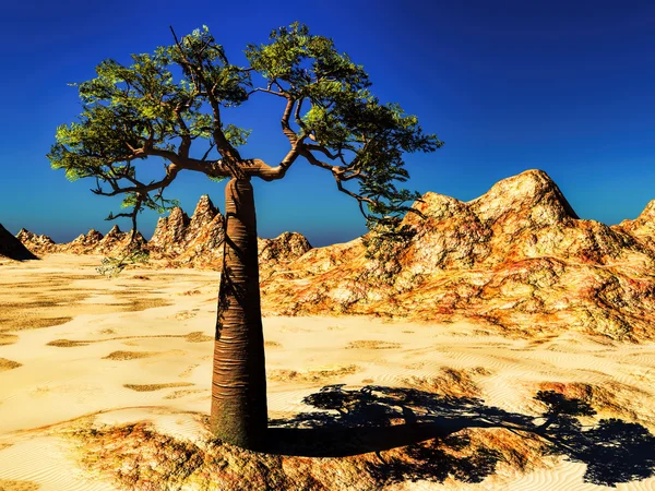 Πανίσχυρη baobab-Αδανσονία grandidieri — Φωτογραφία Αρχείου