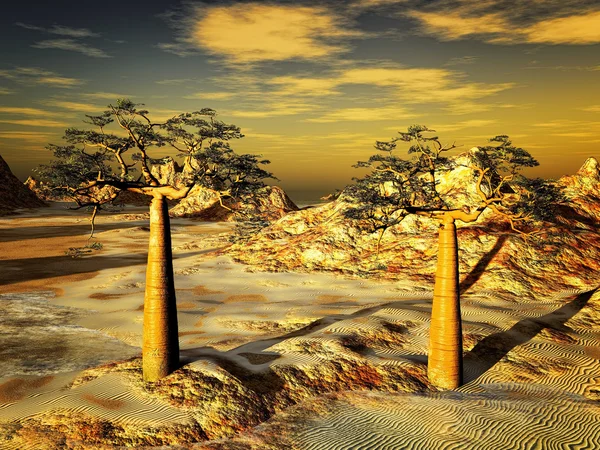 Güçlü baobabs-Baobab grandidieri — Stok fotoğraf