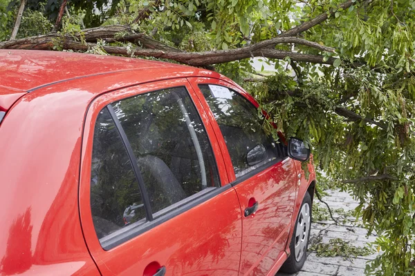 Carro esmagado por ventos fortes — Fotografia de Stock