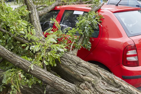 Bilen krossas av kraftiga vindar — Stockfoto
