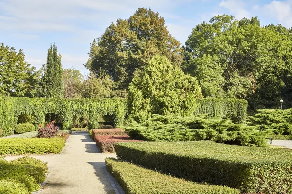 Summer garden in park — Stock Photo, Image