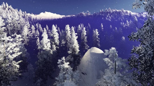 Рождественский лес в горах — стоковое фото