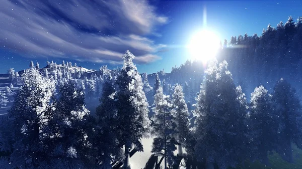 Weihnachtswald in den Bergen — Stockfoto