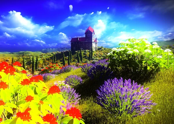 Bellissimo paesaggio con fiori — Foto Stock