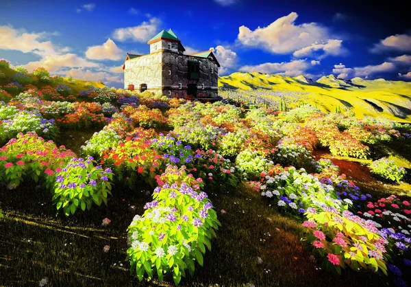 Bellissimo paesaggio con fiori — Foto Stock