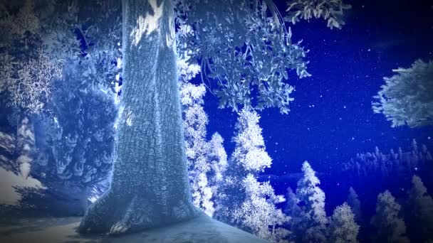 Рождественский лес в горах — стоковое видео