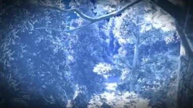 Christmac orman dağlarında