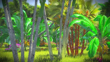 Ormanda yemyeşil bitki örtüsü