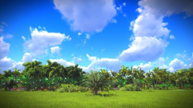 Ormanda yemyeşil bitki örtüsü