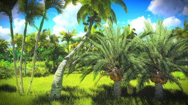 Ormanda yemyeşil bitki örtüsü