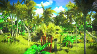 Ormanda yemyeşil bitki örtüsü