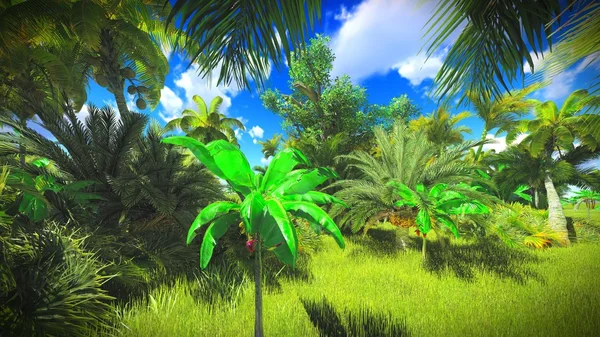 정글에 무성 한 식물 — 스톡 사진