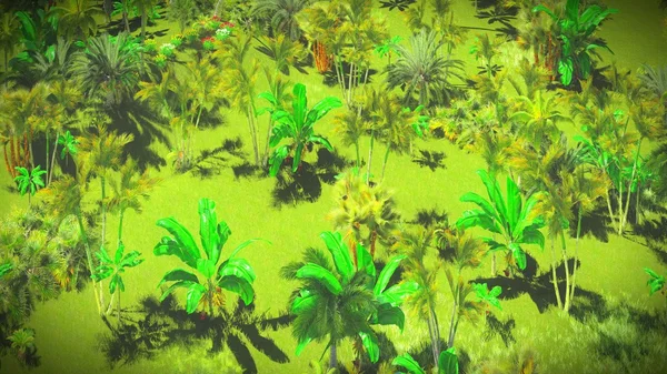 Frodig växtlighet i djungeln — Stockfoto