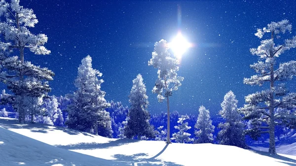 Foresta di Natale in montagna — Foto Stock