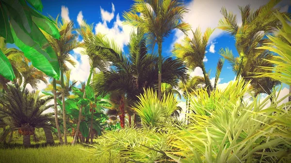 Ormanda yemyeşil bitki örtüsü