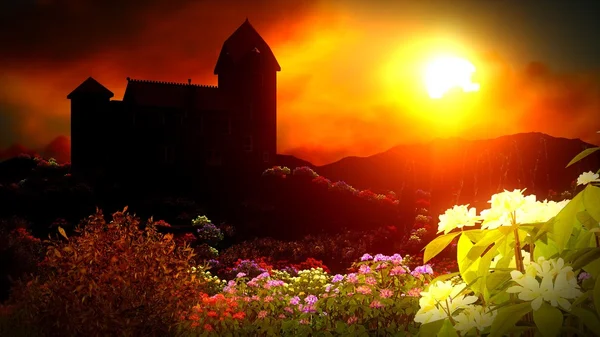 Piękne krajobrazy z kwiatami — Zdjęcie stockowe
