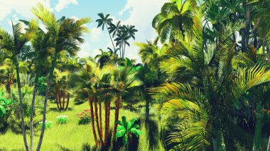 Ormanda yemyeşil bitki örtüsü