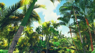 Ormanda yemyeşil bitki örtüsü