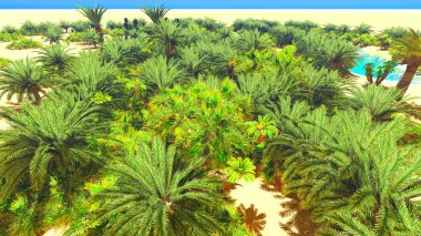 Sahara üzerinde Afrika oasis