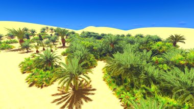 Sahara üzerinde Afrika oasis