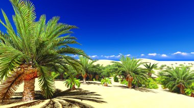 Sahara üzerinde Afrika oasis